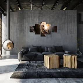 Obraz sowy palonej (125x70 cm)