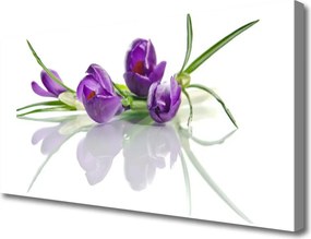 Zdjęcie na płótnie Botaniczny Ogród Kwiatowy