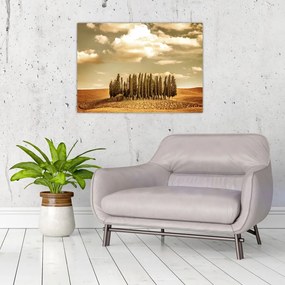 Obraz na szkle leśnej łąki (70x50 cm)