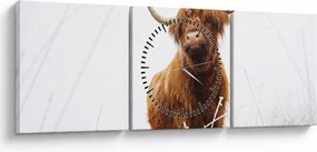 Obraz - Szkocka krowa (z zegarem) (90x30 cm)