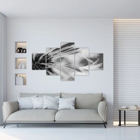 Obraz - Makro, czarno - biały (125x70 cm)