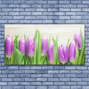 Obraz Akrylowy Tulipany Kwiaty Natura
