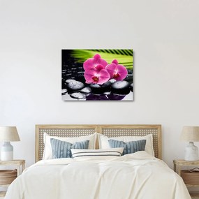 Obraz na szkle - Różowe orchidee z liściem palmy (70x50 cm)