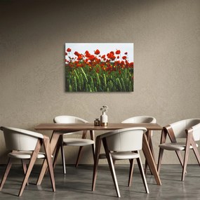 Obraz na szkle maków na wietrze (70x50 cm)