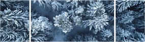 Obraz - Śnieżny las (170x50 cm)