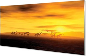 Szklany Panel Żyrafy pod Rozłożystym Drzewem