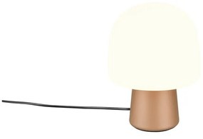 Biało-brązowa lampa stołowa ze szklanym kloszem (wysokość 27 cm) Steen – Trio
