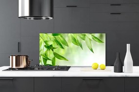 Panel Szklany do Kuchni Botaniczna Świeżość Liści