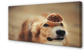 Obraz drukowany na płótnie Pies i Babeczka
