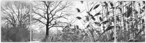 Obraz - Pola w zimie (170x50 cm)