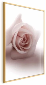 Plakat Różany cień 29,7x42 cm z ramą złotą bez marginesu ARTGEIST B