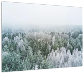Obraz - Ośnieżone szczyty lasów (70x50 cm)