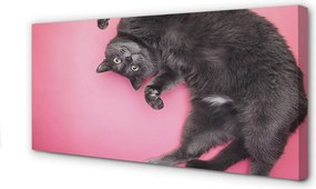 Zdjęcie na płótnie Leniwe Popołudnie Kota