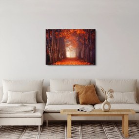 Obraz na szkle - Jesienny las (70x50 cm)