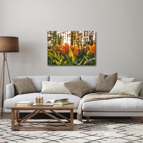 Obraz - kwiaty tulipanów (70x50 cm)