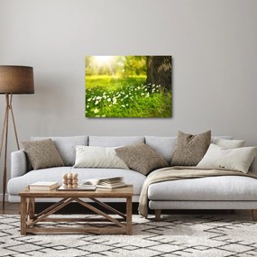 Obraz polany i kwiatów (70x50 cm)