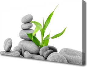 Zdjęcie na płótnie Kompozycja Kamieni i Liści