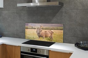 Panel Szklany Samotny Jeleń na tle Horyzontu