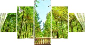 Obraz - Widok na las (125x70 cm)