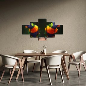 Obraz papug (125x70 cm)