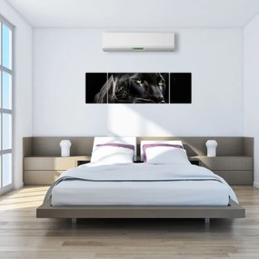 Obraz - Czarna Pantera (170x50 cm)