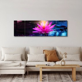 Obraz lilii wodnej na wodzie (170x50 cm)