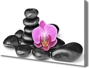 Obraz na płótnie Układ Kamieni z Akcentem Kwiatowym