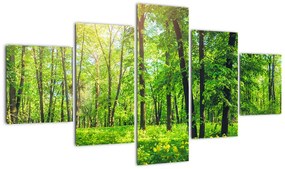 Obraz - Wiosenny las liściasty (125x70 cm)
