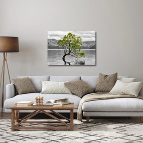 Obraz drzewa na środku jeziora (70x50 cm)