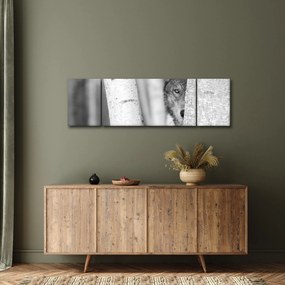 Obraz - Wilk w lesie (170x50 cm)