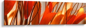 Obraz płatków kwiatów (170x50 cm)