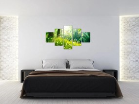 Obraz - Magiczna łąka pełna mniszków lekarskich (125x70 cm)