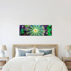Obraz kaktusa (z zegarem) (90x30 cm)
