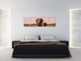 Obraz - Przybycie słonia (170x50 cm)