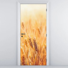 Fototapeta na drzwi - Pole ze zbożem (95x205cm)