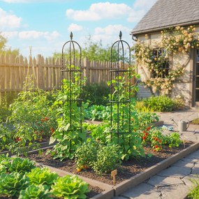 Outsunny Podpóra do pnączy 2 szt. 174 cm Obelisk ze stali, zdejmowana podpórka dla roślin pnących, do róż | Aosom PL