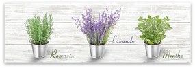 Obraz Styler Canvas Shabby Herbs, 27x75 cm