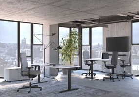 Obrotowe krzesło biurowe z regulacjami X-Line Swivel Chair UPH/P
