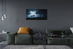 Zdjęcie na płótnie Nocny Las i Jednorożec