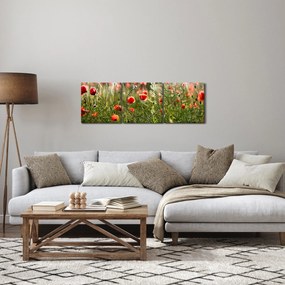 Obraz maków (z zegarem) (90x30 cm)