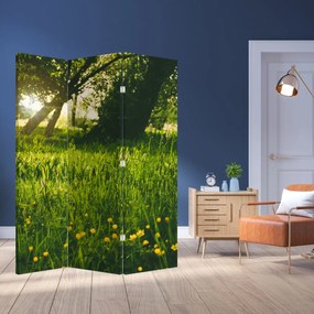 Parawan - Łąka (126x170 cm)