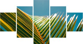 Obraz - Detal liścia palmowego (125x70 cm)