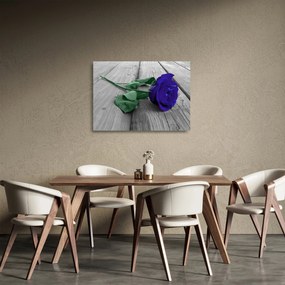 Obraz na szkle - Niebieska róża z zieloną łodygą (70x50 cm)