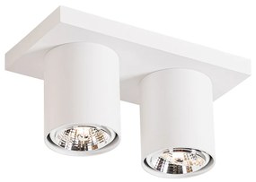 Nowoczesny Plafon / Reflektorek / Spot / Spotow / Lampy sufitowe z reflektorami biały 2-światła - Tubo Nowoczesny Oswietlenie wewnetrzne