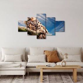 Obraz sowy (125x70 cm)