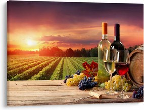 Obraz winnicy z winem (70x50 cm)