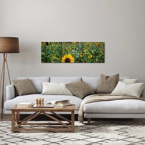 Obraz - Sunflower Field II. (z zegarem) (90x30 cm)