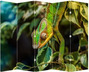 Parawan - Kameleon (210x170 cm)