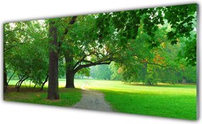 Szkło do Kuchni na Ścianę Aleja w Cieniu Drzew