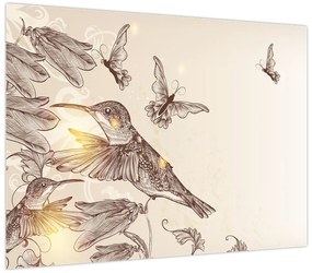 Obraz - Kolibry (70x50 cm)
